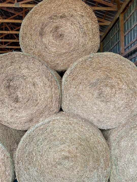 En Venta: $2,450,000 (299.25 acres)