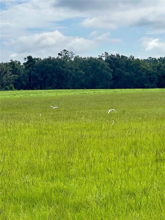 En Venta: $2,450,000 (299.25 acres)