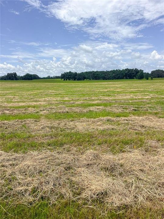 En Venta: $2,450,000 (299.25 acres)