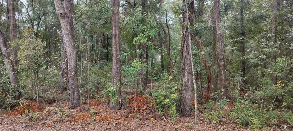 待售: $25,000 (0.48 acres)