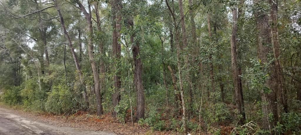 待售: $25,000 (0.48 acres)