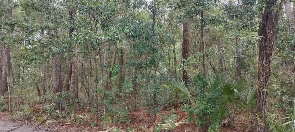 待售: $25,000 (0.48 acres)