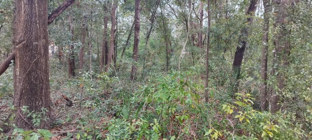 待售: $25,000 (0.48 acres)