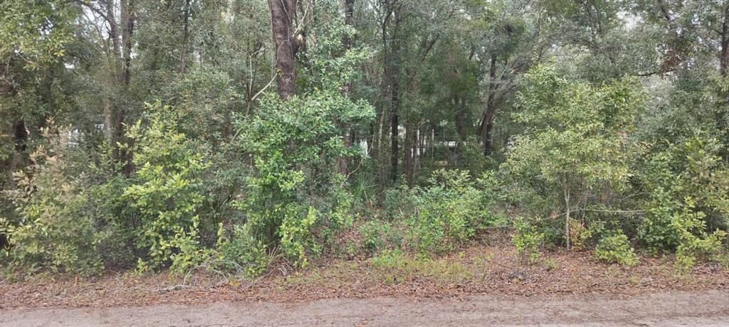 待售: $25,000 (0.48 acres)