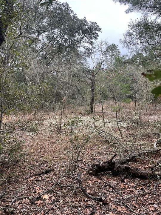 En Venta: $12,750 (0.24 acres)