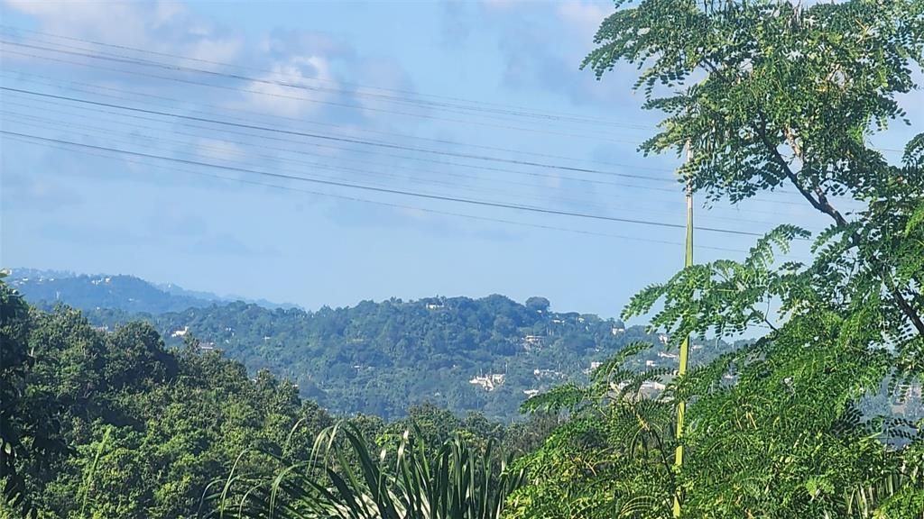 En Venta: $179,000 (3.87 acres)