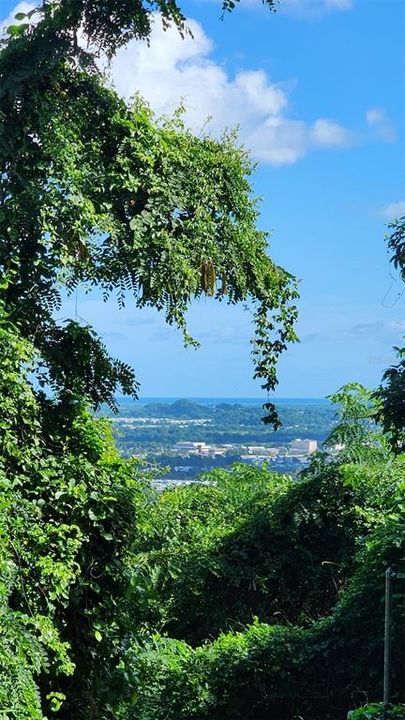 En Venta: $179,000 (3.87 acres)