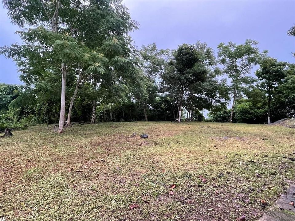 En Venta: $179,000 (3.87 acres)