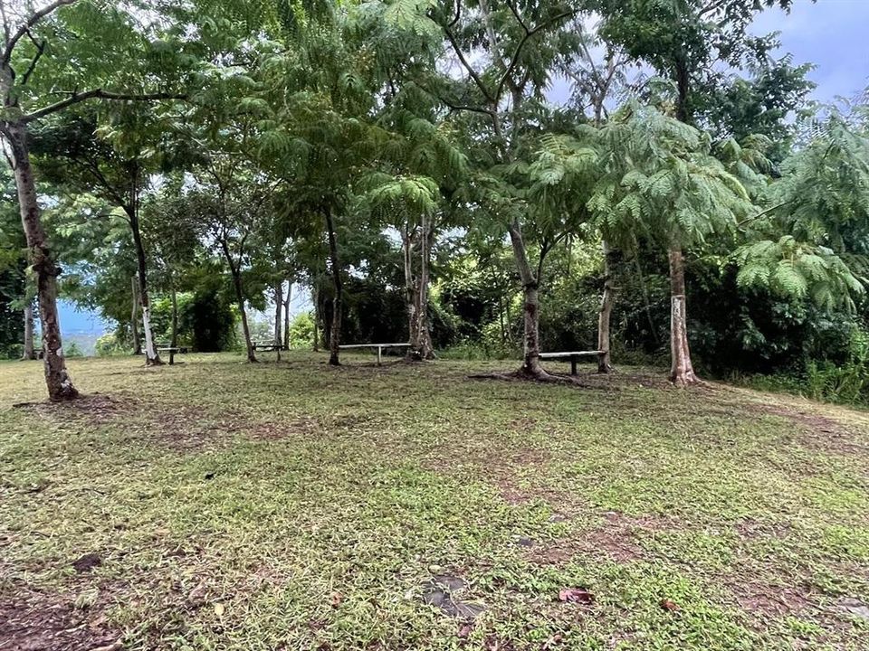 En Venta: $179,000 (3.87 acres)