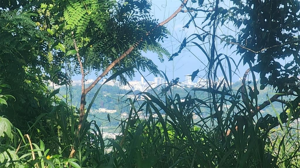 En Venta: $179,000 (3.87 acres)