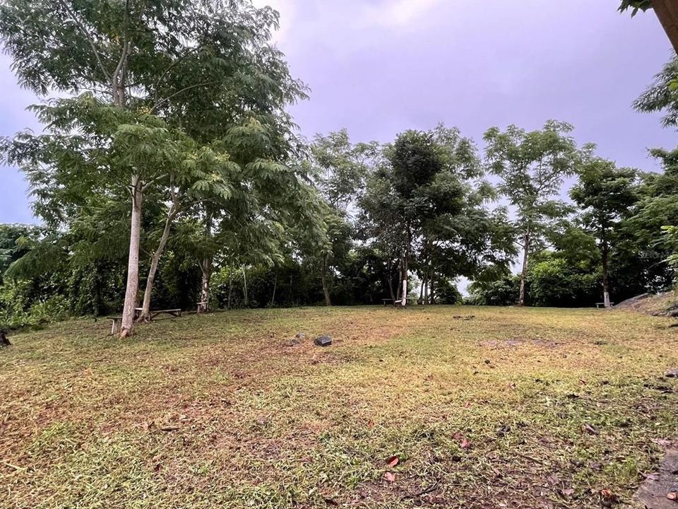 En Venta: $179,000 (3.87 acres)