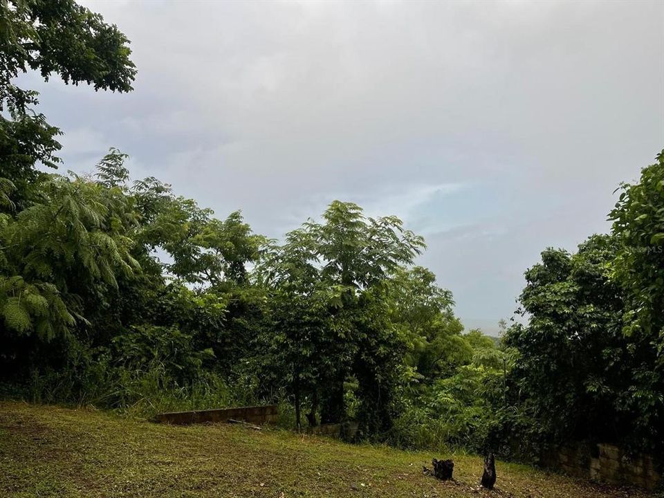 En Venta: $179,000 (3.87 acres)