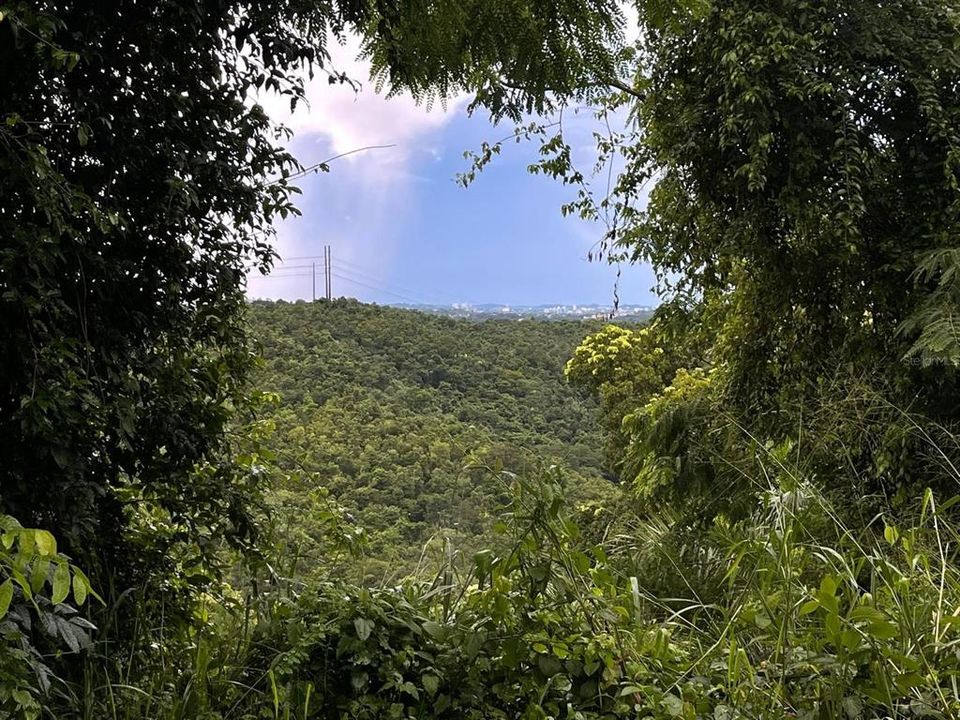 En Venta: $179,000 (3.87 acres)