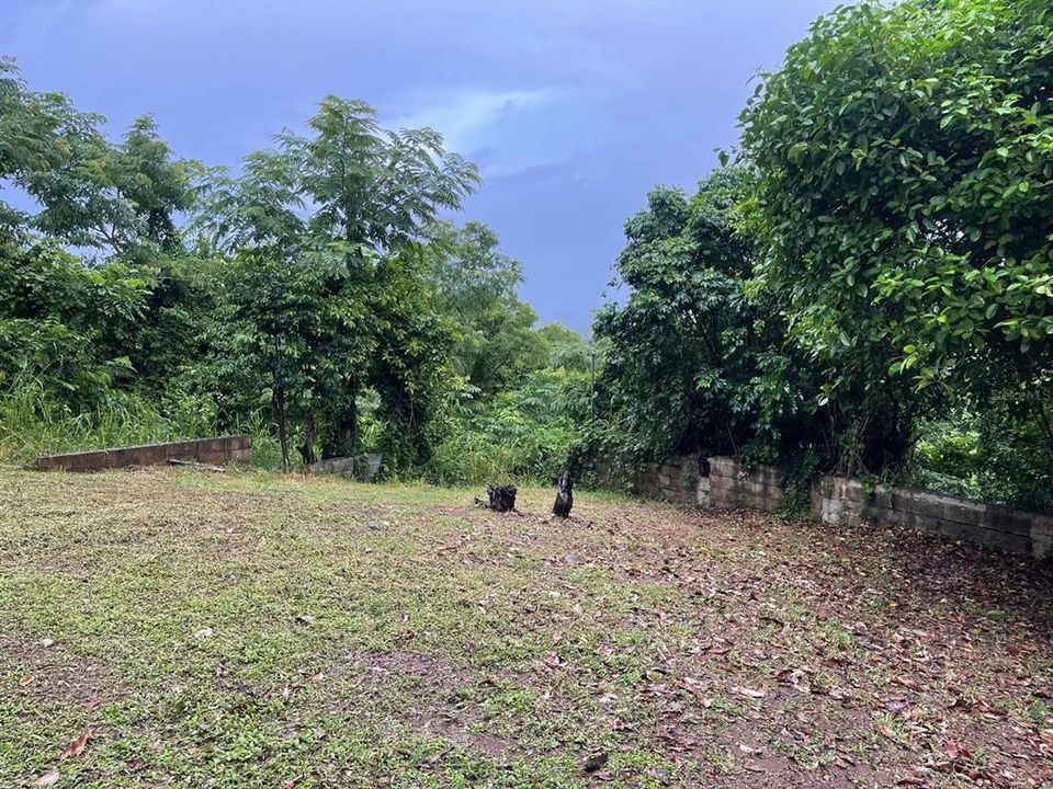 En Venta: $179,000 (3.87 acres)