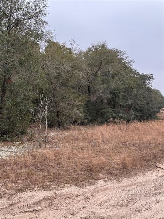 For Sale: $250,000 (7.86 acres)