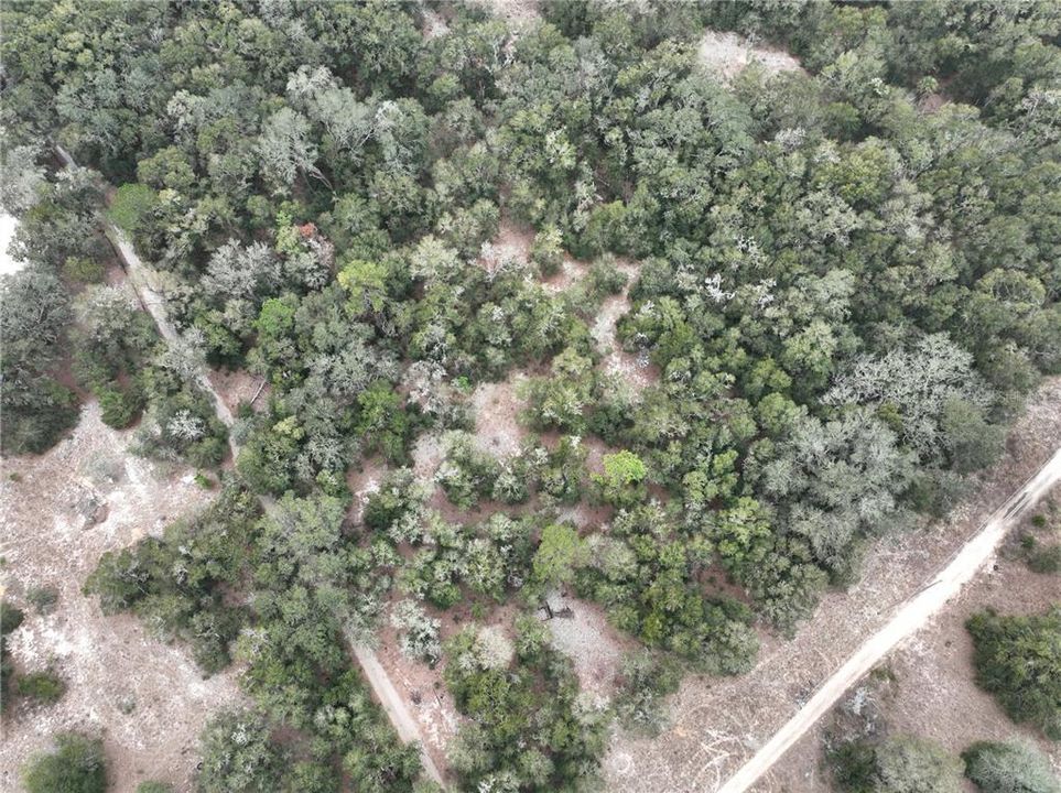 For Sale: $250,000 (7.86 acres)