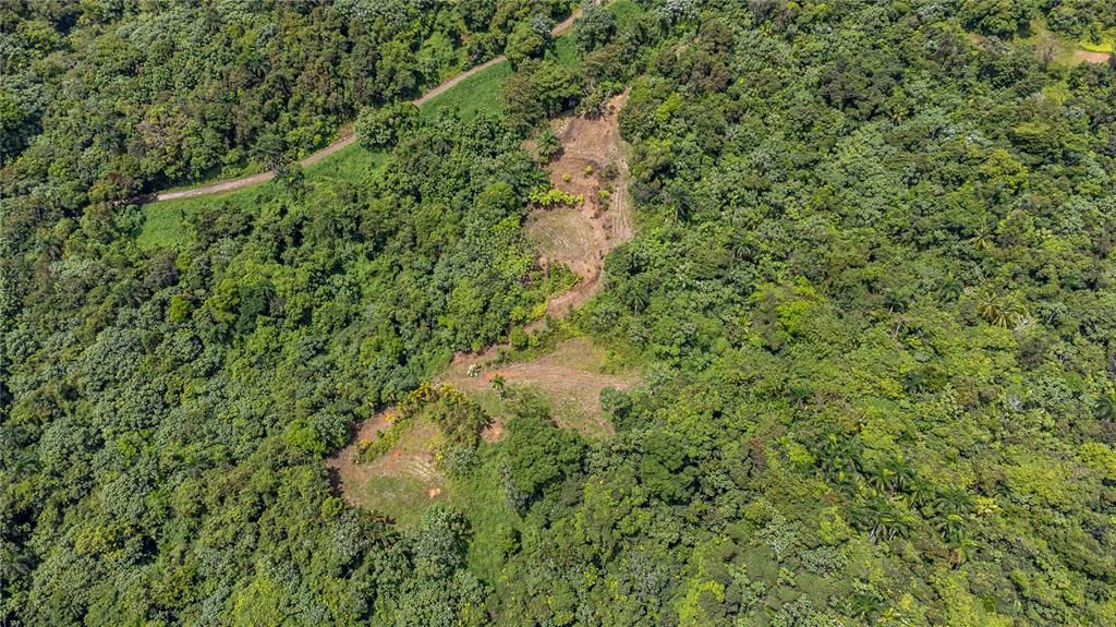 For Sale: $595,000 (24.44 acres)