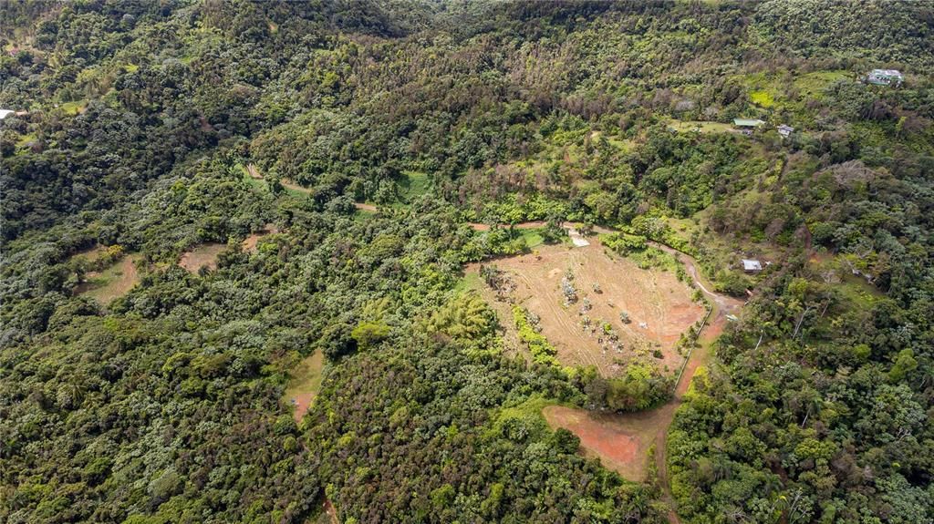 For Sale: $595,000 (24.44 acres)