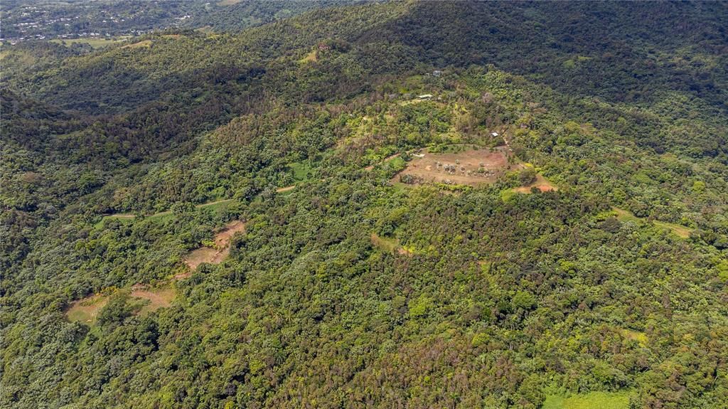 For Sale: $595,000 (24.44 acres)