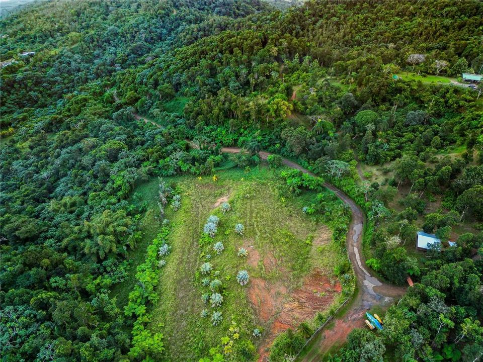 For Sale: $595,000 (24.44 acres)