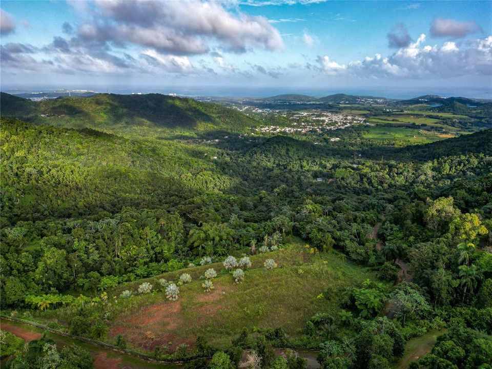 For Sale: $595,000 (24.44 acres)