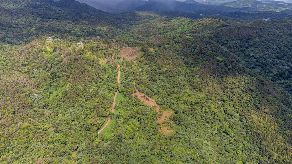 For Sale: $595,000 (24.44 acres)