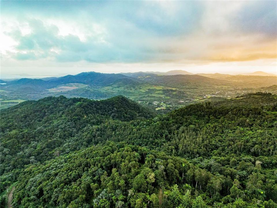 For Sale: $595,000 (24.44 acres)