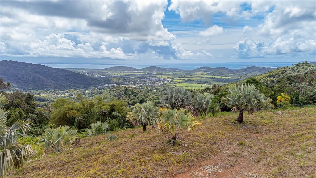 For Sale: $595,000 (24.44 acres)