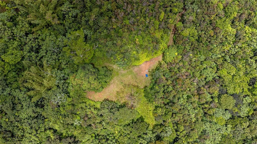 For Sale: $595,000 (24.44 acres)