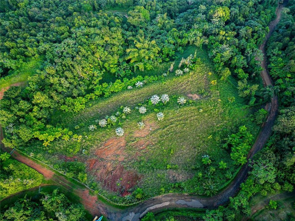 For Sale: $595,000 (24.44 acres)