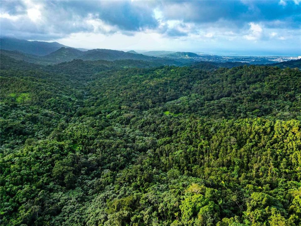 For Sale: $595,000 (24.44 acres)