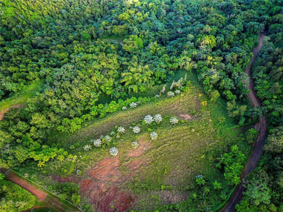 For Sale: $595,000 (24.44 acres)