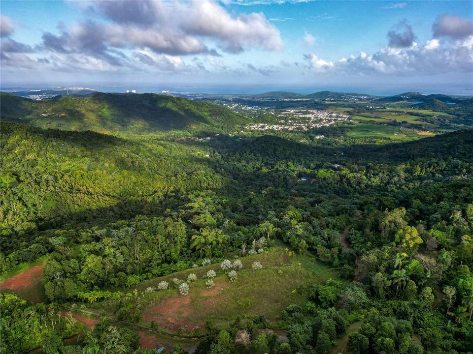 For Sale: $595,000 (24.44 acres)