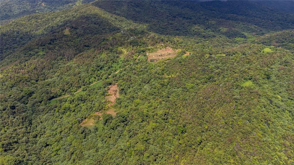 For Sale: $595,000 (24.44 acres)