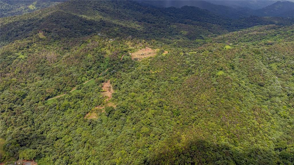 For Sale: $595,000 (24.44 acres)