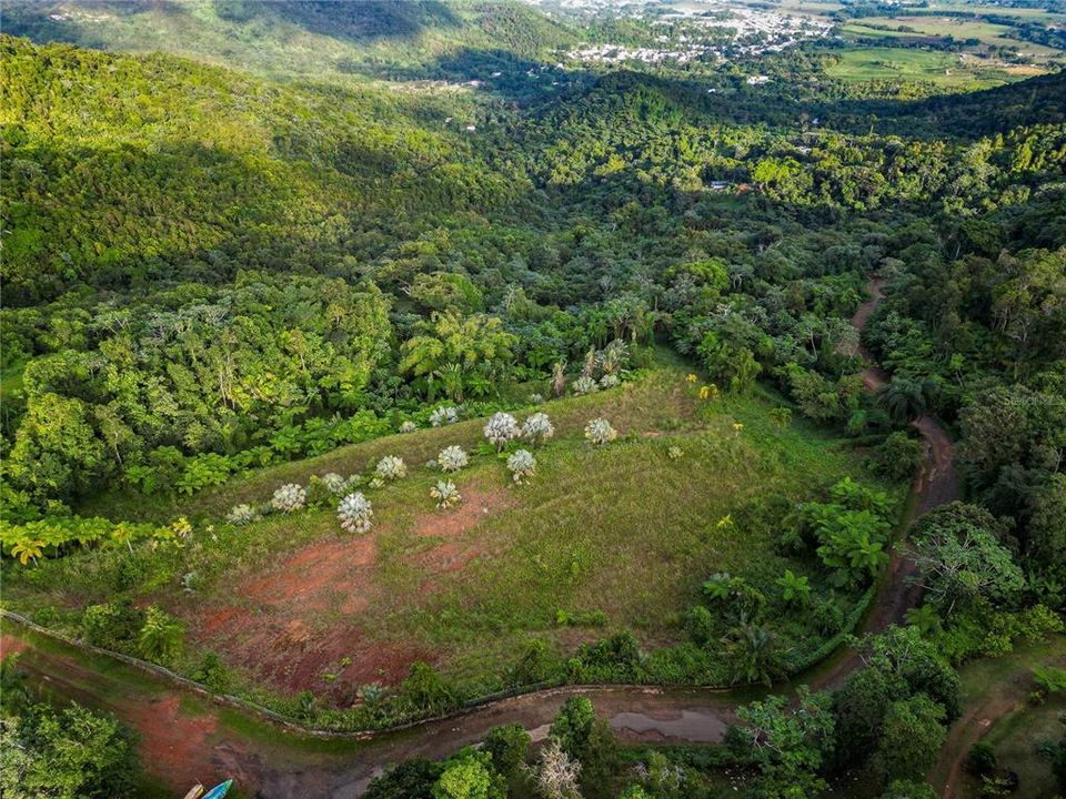 For Sale: $595,000 (24.44 acres)