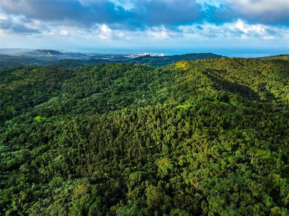 For Sale: $595,000 (24.44 acres)