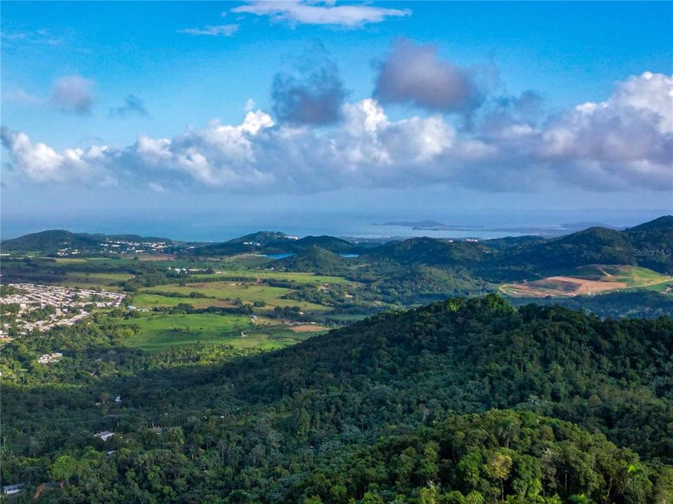 For Sale: $595,000 (24.44 acres)