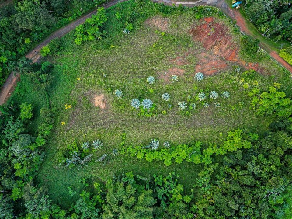 For Sale: $595,000 (24.44 acres)