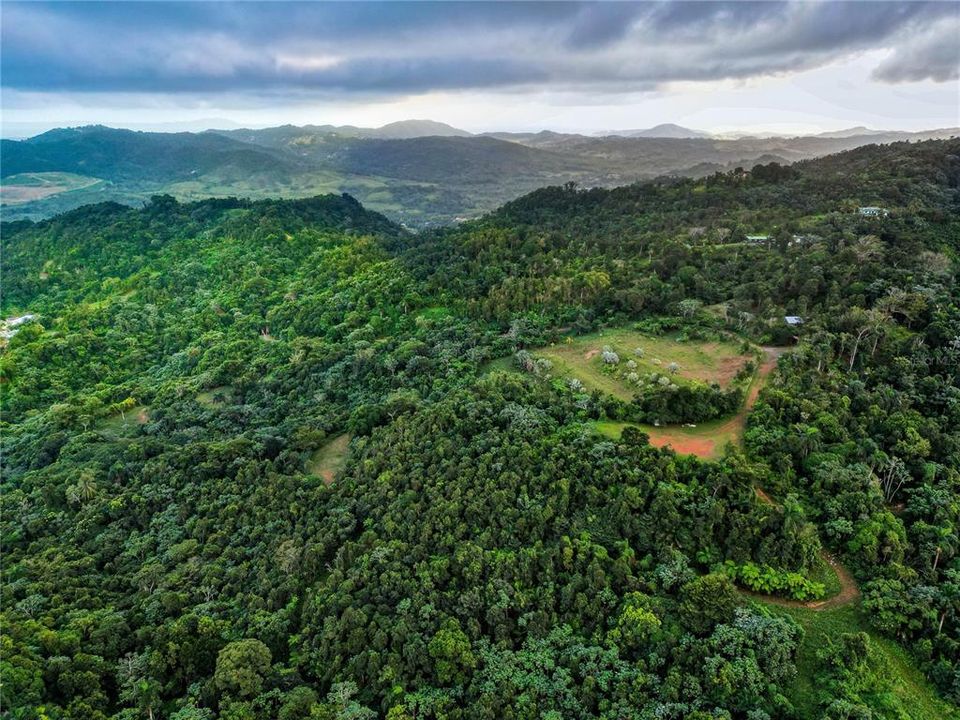 For Sale: $595,000 (24.44 acres)