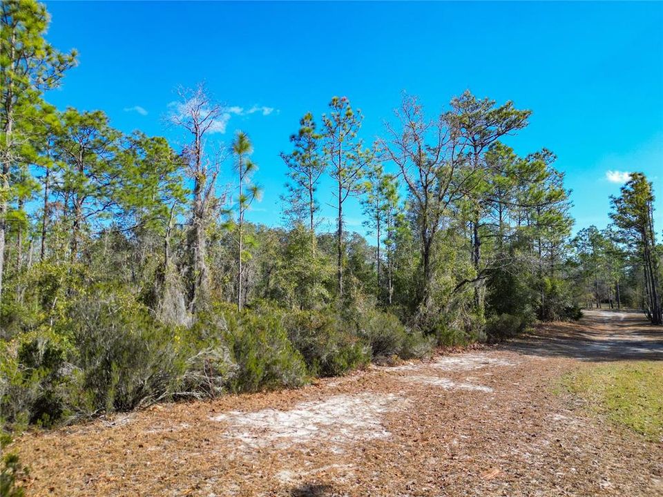 En Venta: $69,900 (1.15 acres)