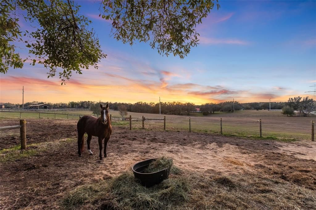 Под контрактом: $2,500,000 (9 спален, 6 ванн, 7505 Квадратных фут)