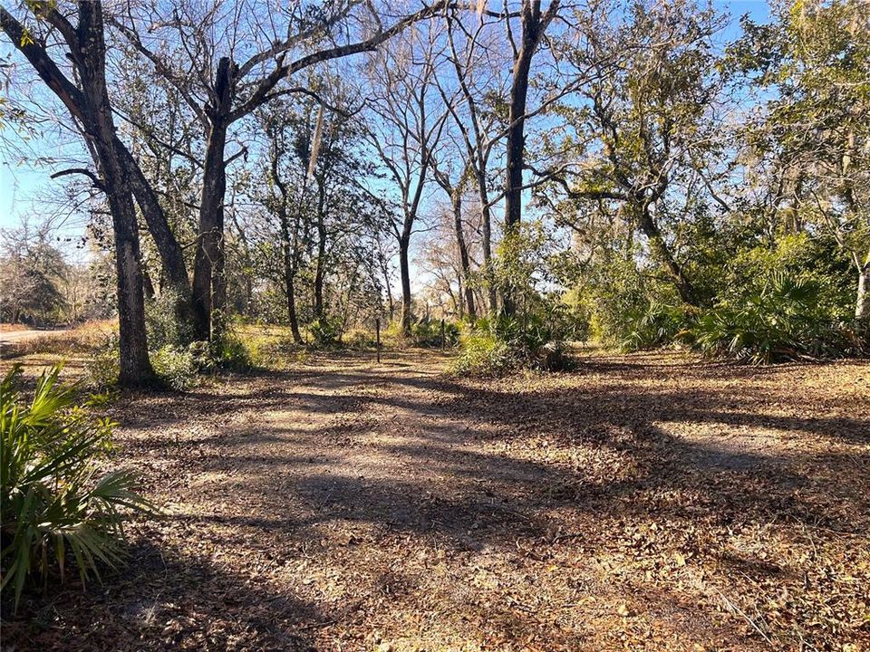 Magnificent 1.56 Acres New Construction Build Site With One Enchanting Lakefront Setting! This Spectacular Property Is Located on Beautiful Lake Williams in Lake Gardens Of Citrus County!