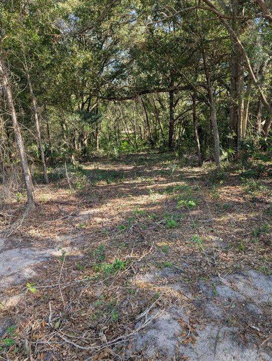 Recently Sold: $415,000 (16.60 acres)