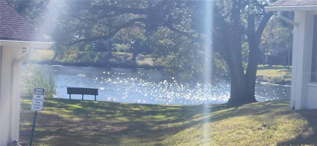 待售: $395,000 (3 贝兹, 2 浴室, 1685 平方英尺)