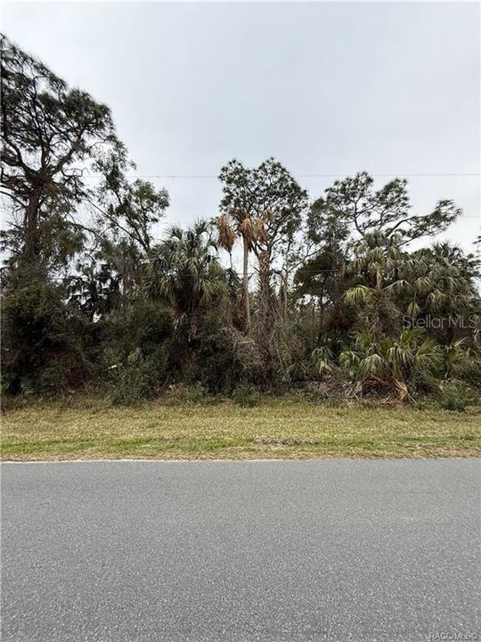 待售: $49,000 (1.86 acres)