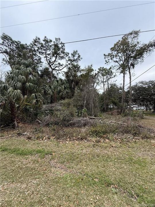 待售: $49,000 (1.86 acres)