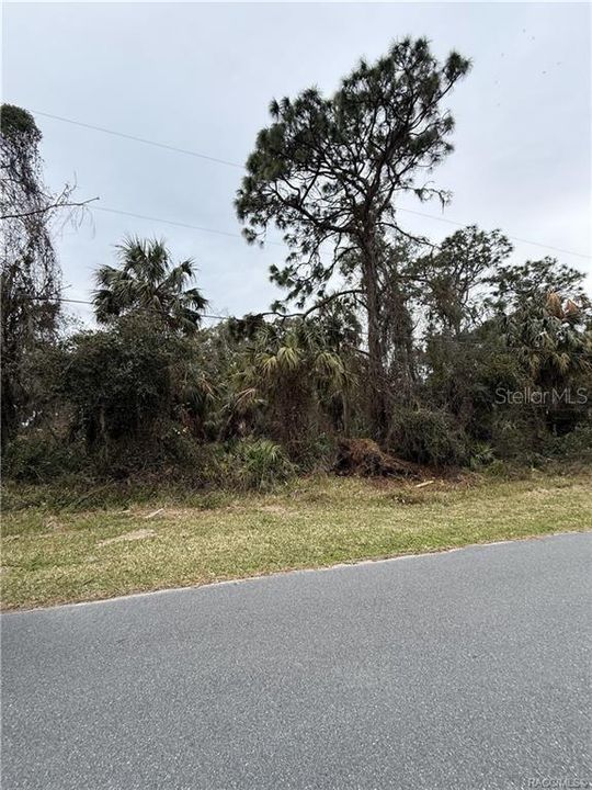 待售: $49,000 (1.86 acres)