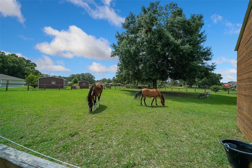 For Sale: $670,900 (4 beds, 2 baths, 2635 Square Feet)