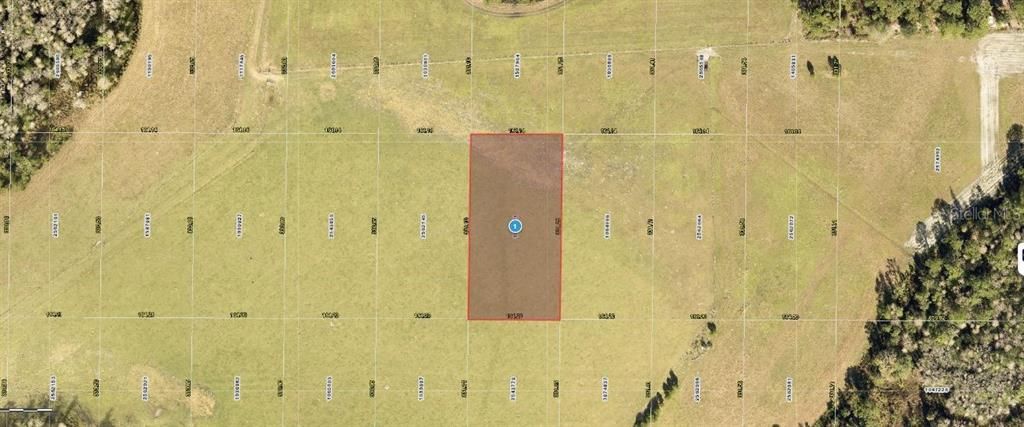 For Sale: $49,000 (1.25 acres)